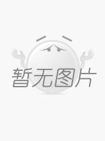 O型圈
